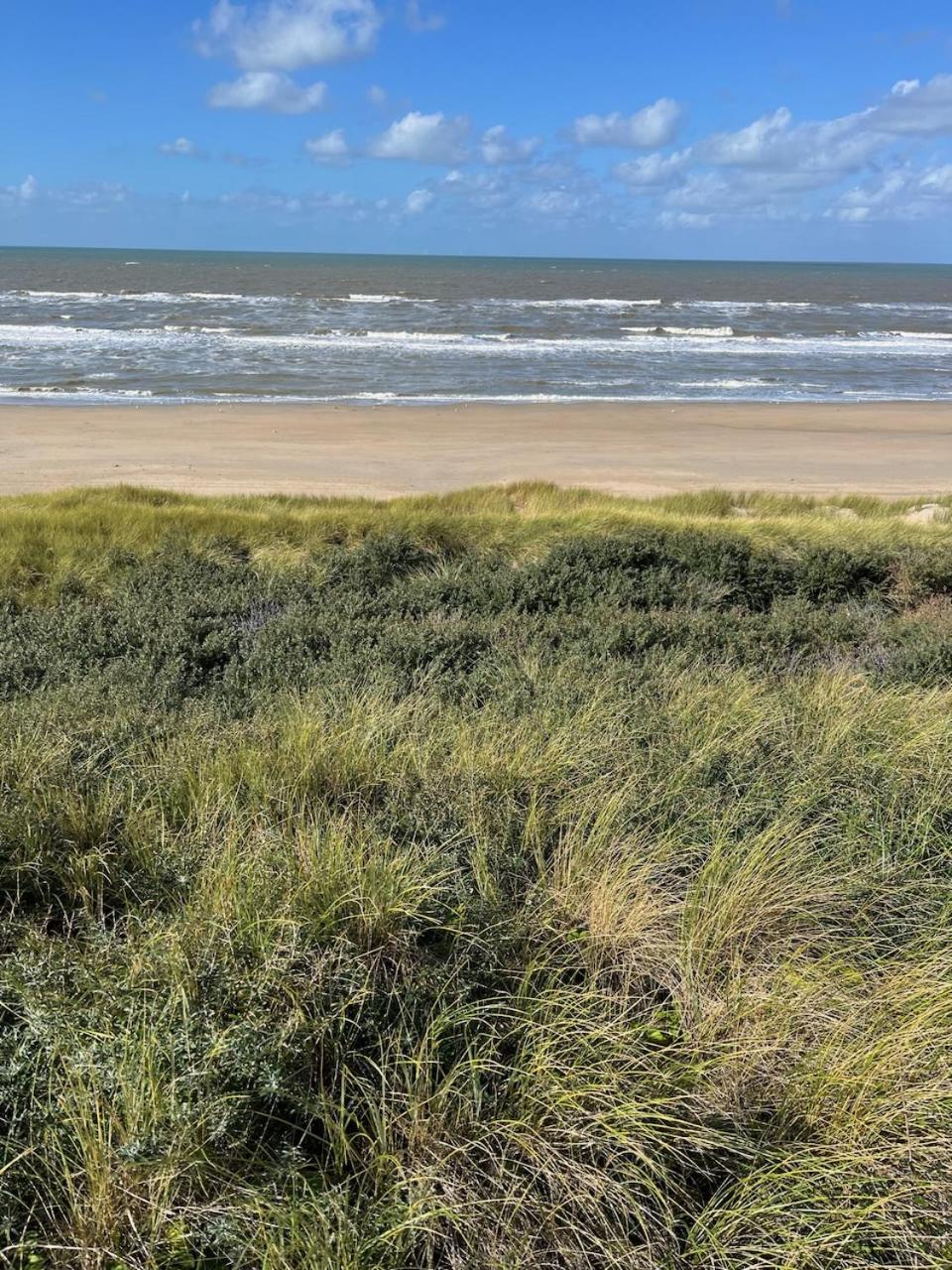 Studio34 Zandvoort Free Parking Zewnętrze zdjęcie